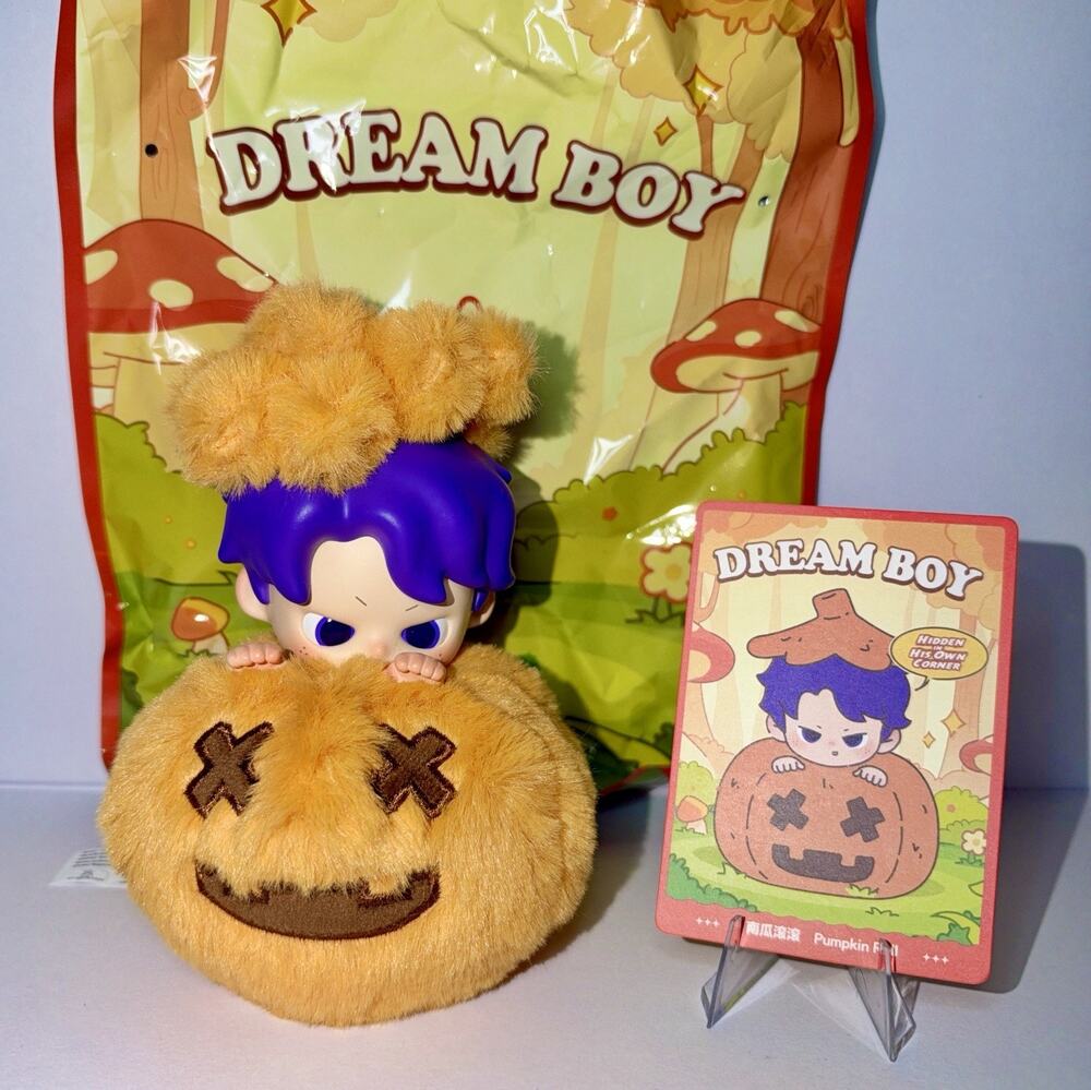 OHKU Dream Boy Hidden in His Own Corner Confirmed Pumpkin Roll